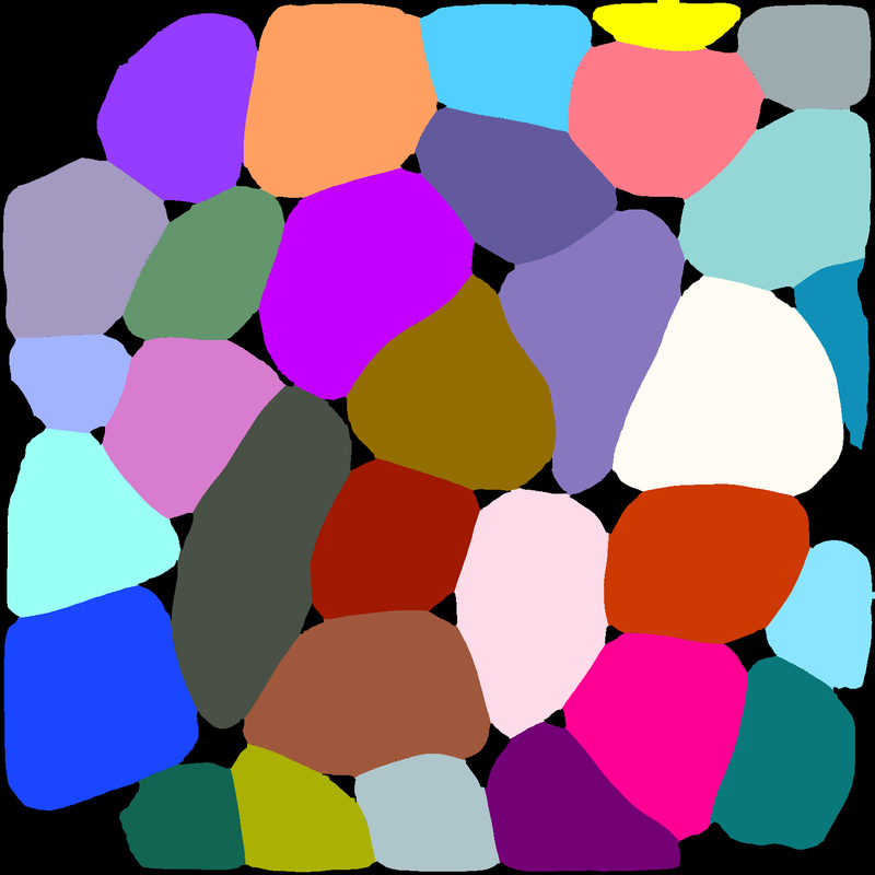 The same cells as a label image, each filled with its own colour